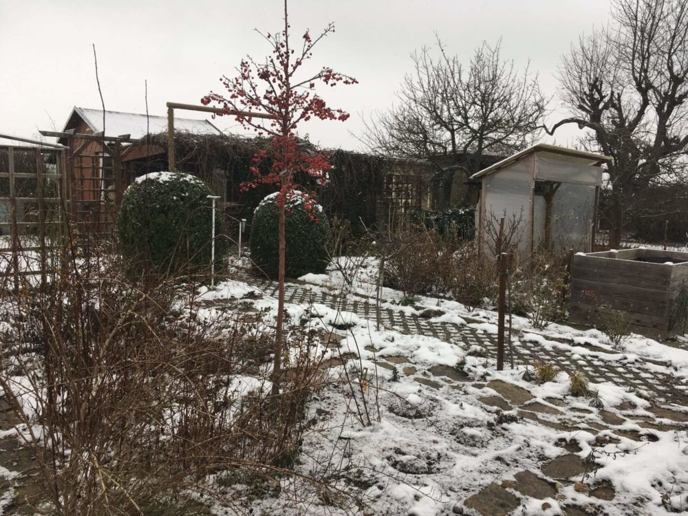 Schnee auf Beeten im Garten