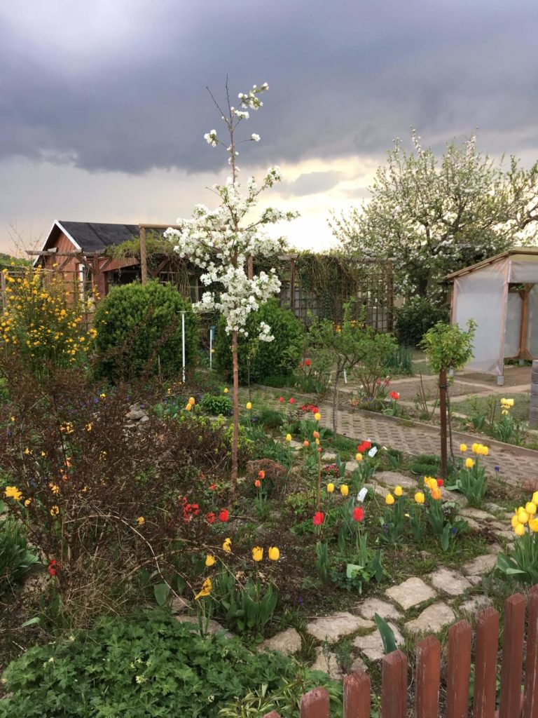 Staudenbeet im Frühling