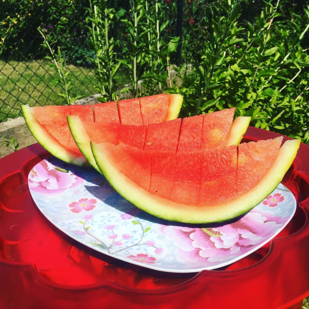 Scheiben von Wassermelonen auf einem Teller