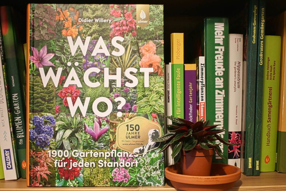 Gartenbuchcover in einem Bücherregal