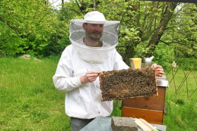 Bienen-Ableger machen ohne die Königin zu suchen — Parzelle94.de