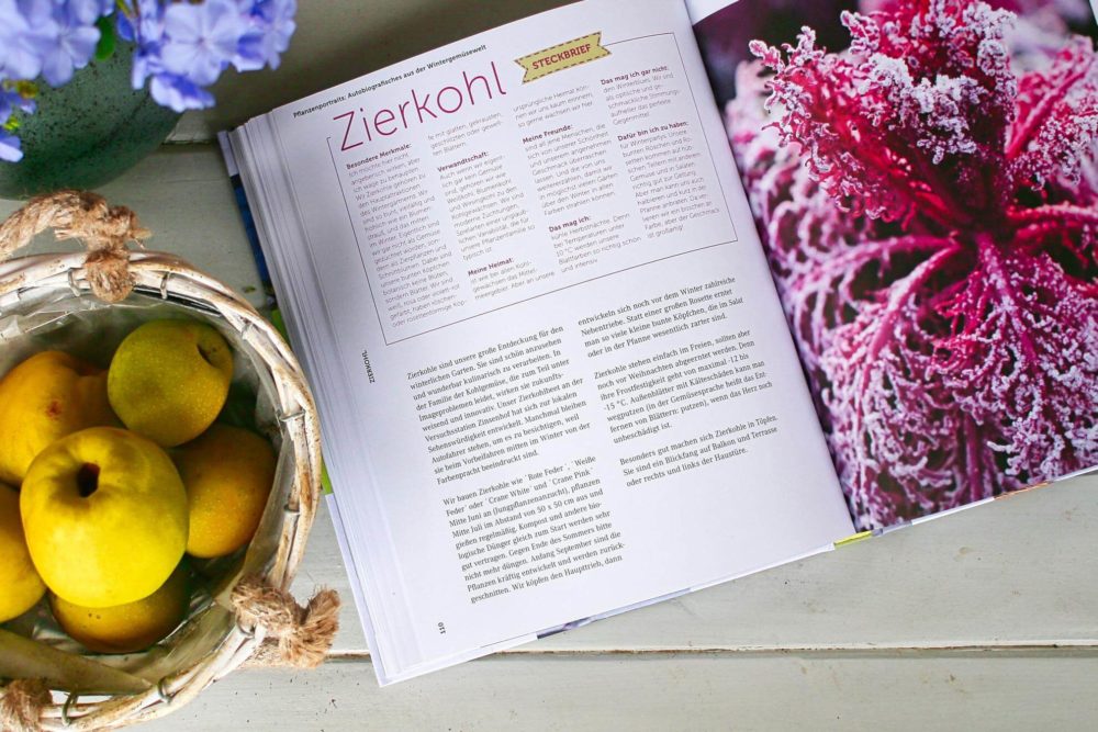 Zierkohl im Winter Buchempfehlung