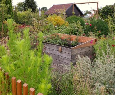 Der Garten im Herbst – die To-Do-Liste