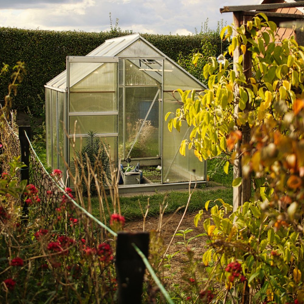 Gewächshäuser werden im Herbst gereinigt