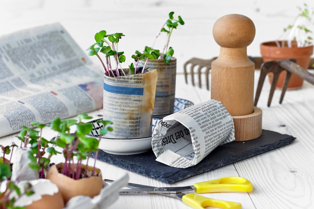 Papiertöpfe Aussaat Blumen Gemüse Papiertopfpresse