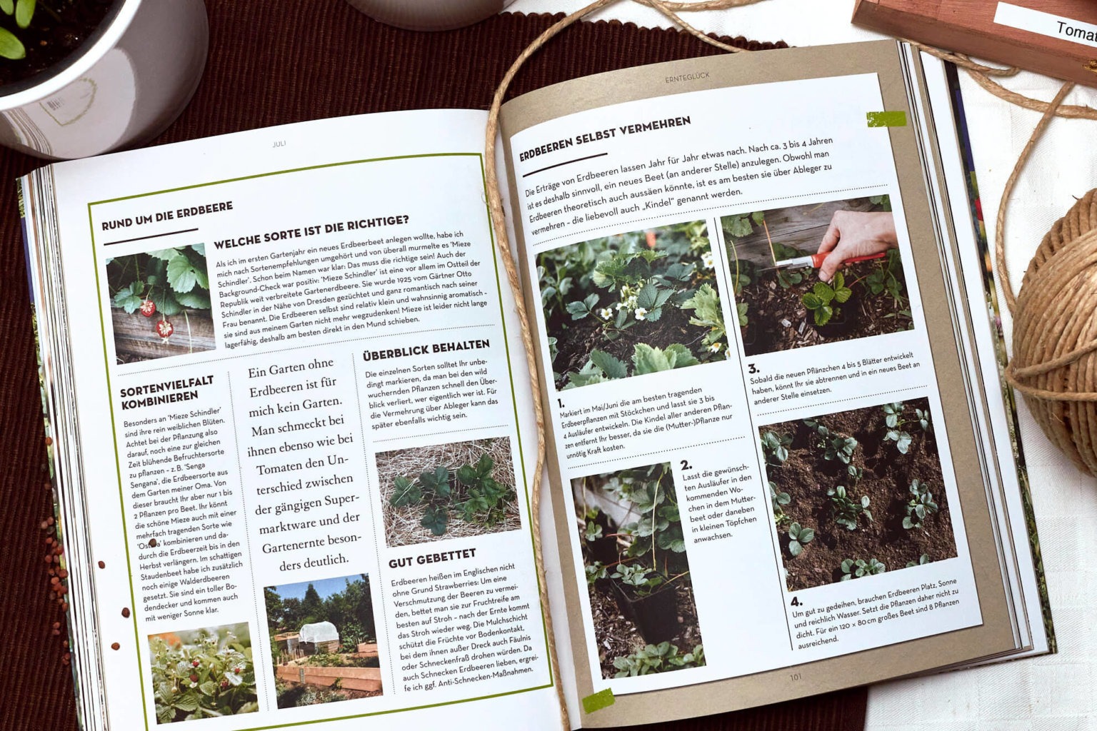 Abenteuer Garten ein Gartenbuch für Anfänger