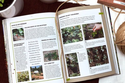 Abenteuer Garten ein Gartenbuch für Anfänger