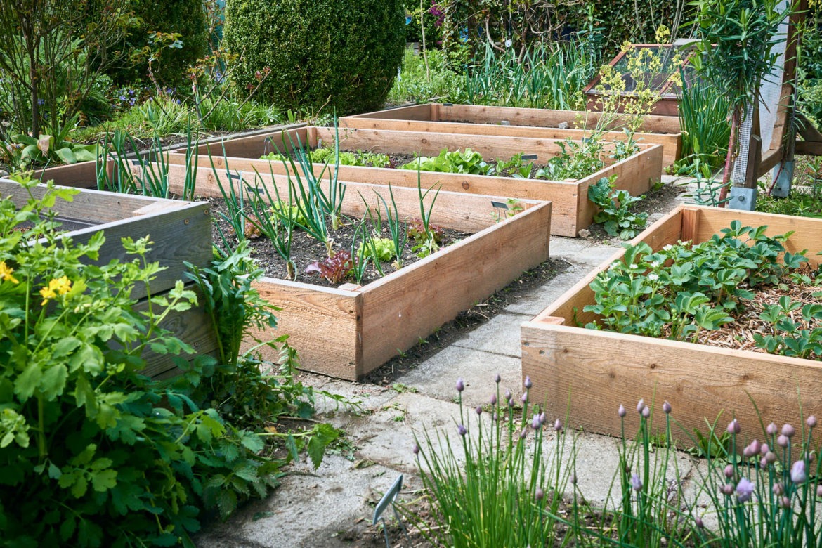 Rahmenbeete selbst bauen + viele Tipps zur Planung Mit Beeteinfassungen aus Holz sehen die Beete einfach besser aus.