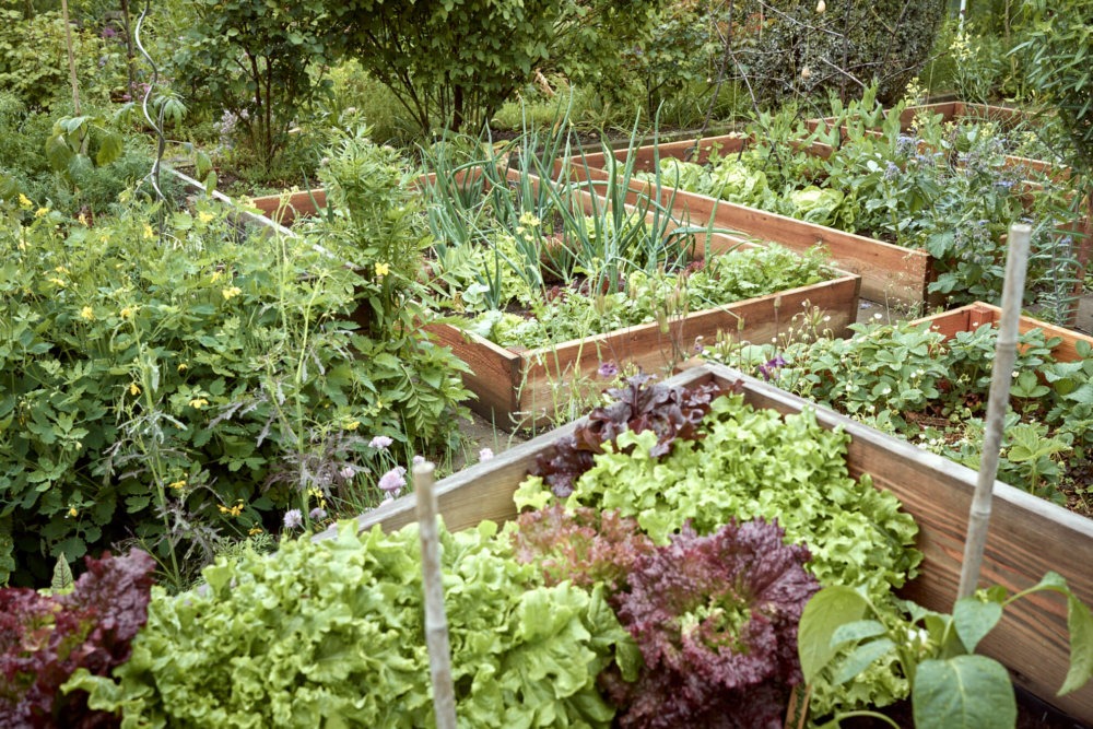 Im Februar wird der Garten geplant!