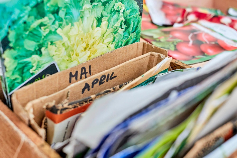 Saatgut sortieren – Überblick behalten Saatgut in Kisten aufbewahren