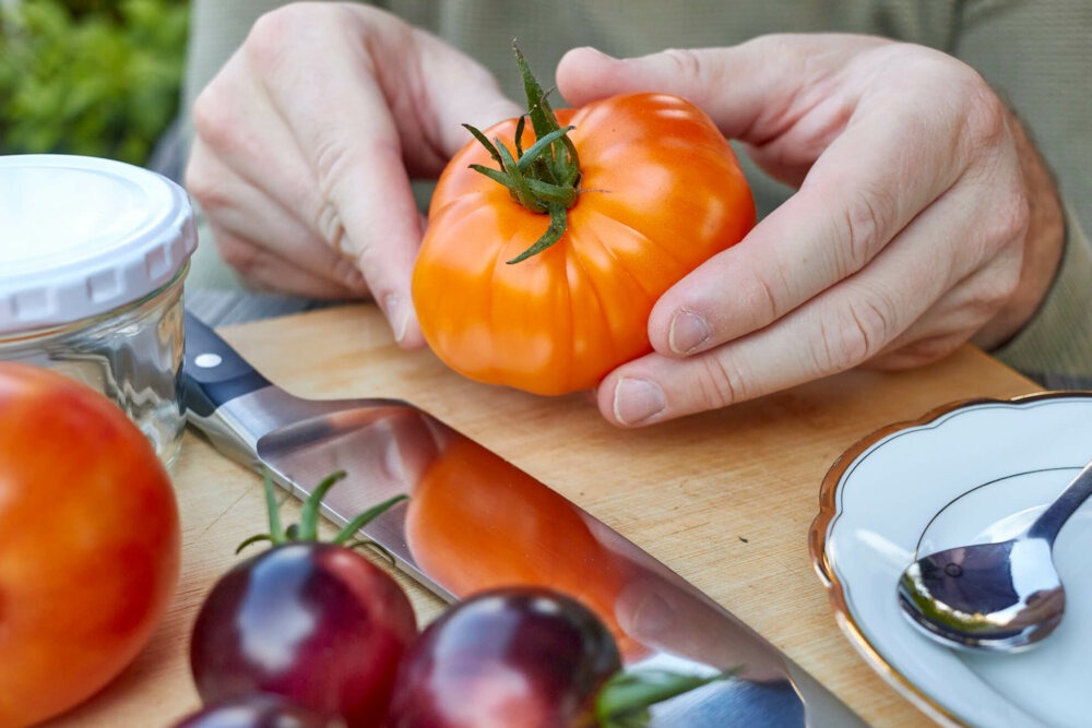 Reife Tomate zum Samen gewinnen