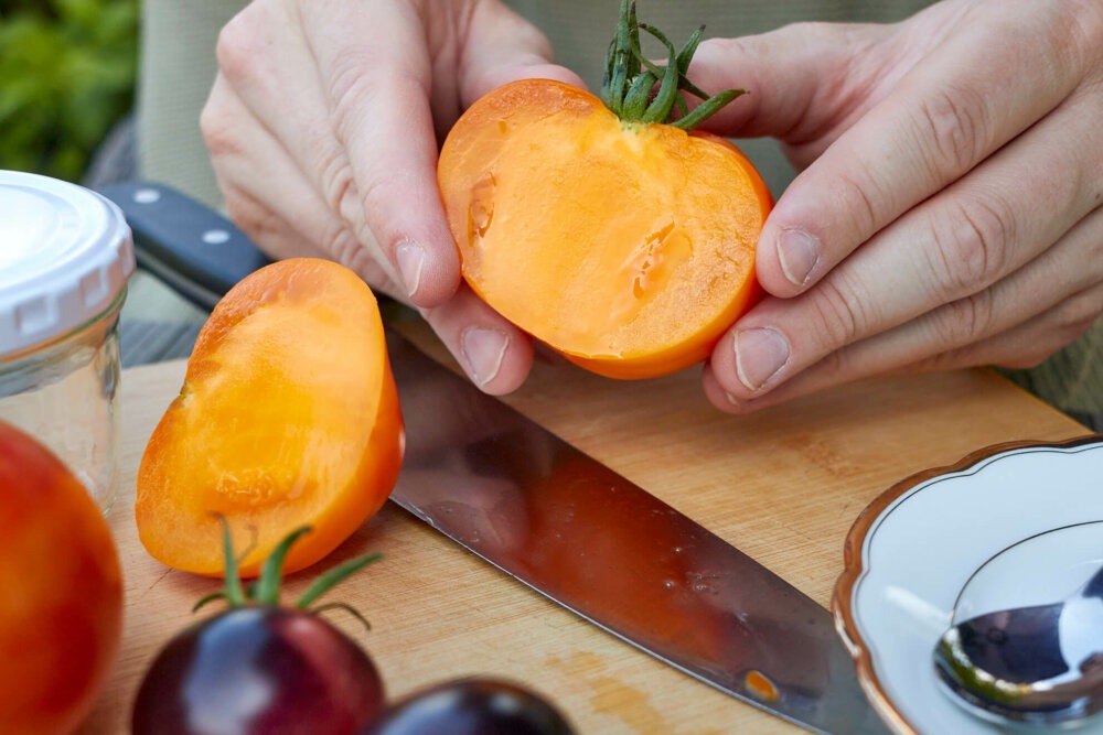 Tomate aufgeschnitten zur Saatgutgewinnung