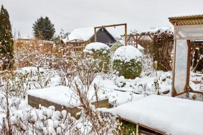 ToDo Gartenarbeiten im Februar