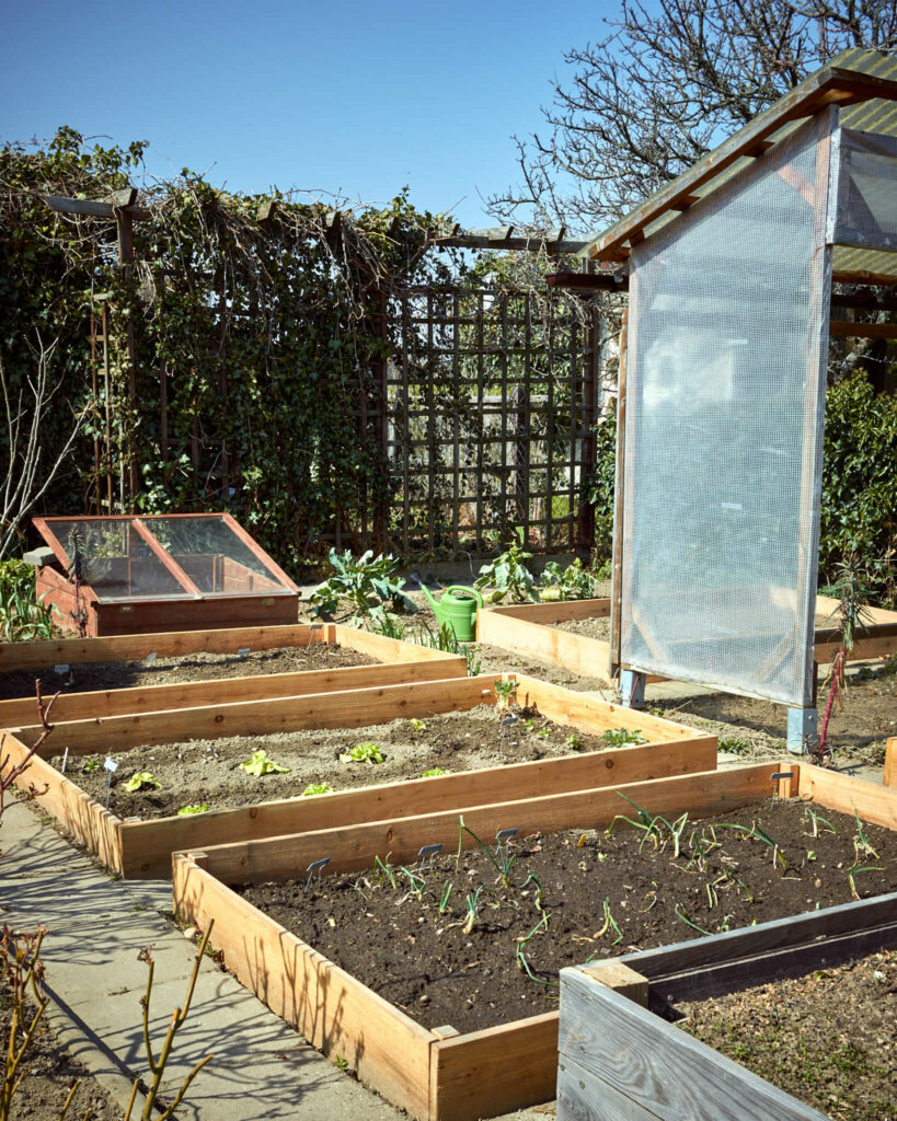 Gemüsebeete vorbereiten ist die wichtigste Gartenarbeit im Frühling
