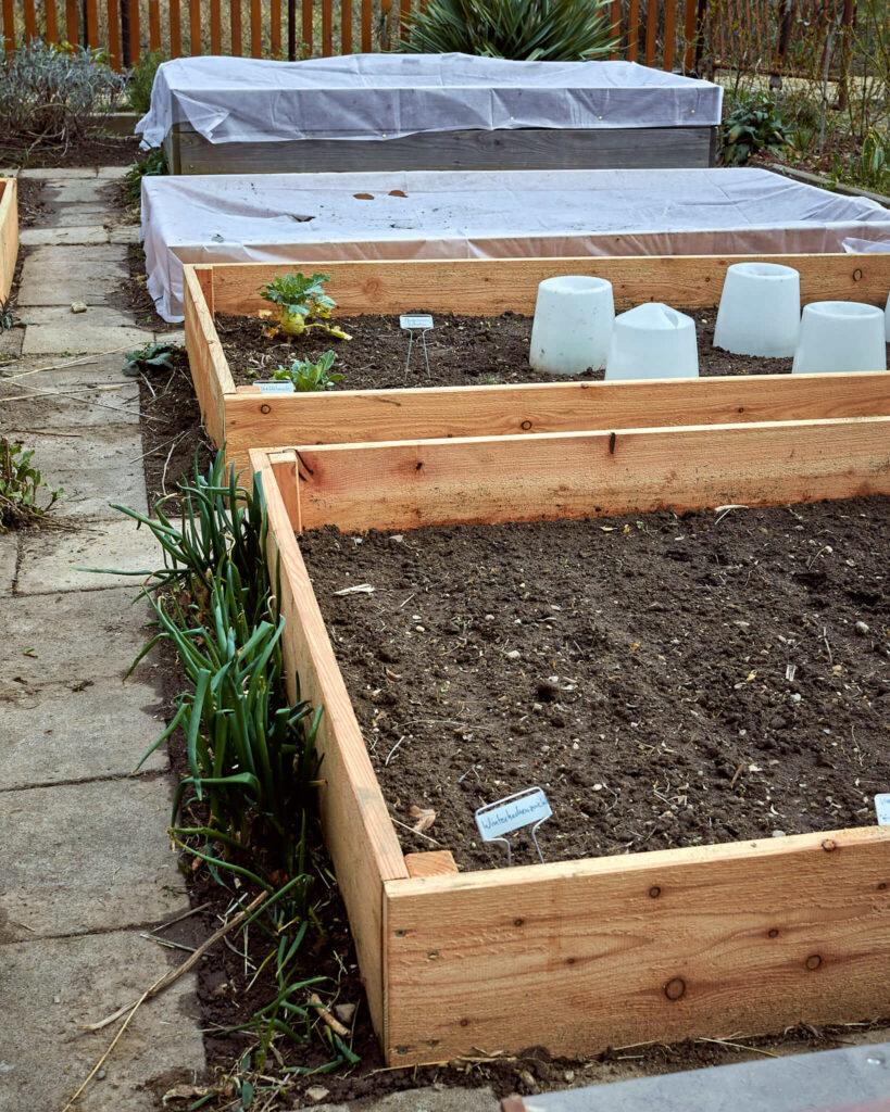 Gemüsebeete werden im Frühling mit Vlies vor Kälte geschützt