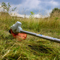 Ich habe extrem verwachsenes Rasenstück gemäht. Dafür ist der Mäher nicht gemacht, jedoch schlug er sich wacker. Stihl Motorsense FSA56 Testbericht im Einsatz